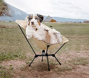 Everything You Need to Know About Moon Chairs